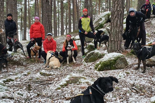 Canicrossová víkendovka v Plzni potěší pejsky i jejich páníčky