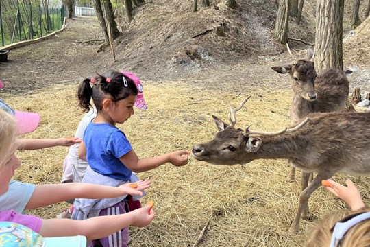 Zkuste si na jeden den práci ošetřovatele zvířátek