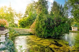 Jak začne v Plzni poslední únorový týden?