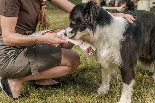 Udělejte radost svému čtyřnohému parťákovi, dopřejte mu gurmánský zážitek! Do Plzně poprvé zavítá PESTAURACE