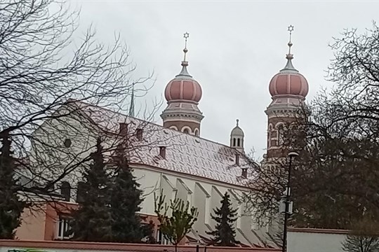 Jak se bude bavit Plzeň během pracovního týdne?