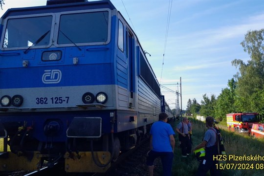 Vlak na Plzeňsku srazil dva psy pobíhající v kolejišti. Jeden na místě zahynul