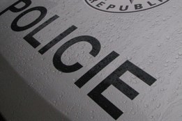 Ukradené věci si dvojice pachatelů schovala na strom. Plánovala se...