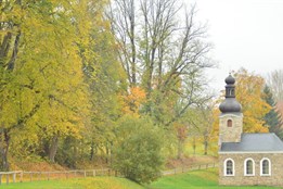 Dejte vánoční dárek své oblíbené aleji – hlasujte pro ni v anketě...