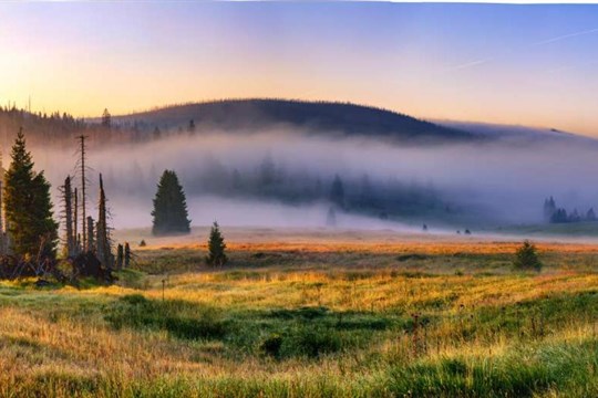 Národní park Šumava má šanci stát se světově uznávaným parkem