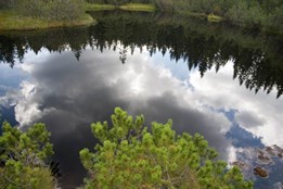 Je sucho, platí zákaz splouvání Teplé Vltavy! Situace bude...