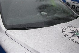 Postrach plzeňských obchodů dopaden. Muži hrozí až tři roky za...