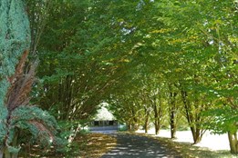 Užijte si den s přírodou! O Víkendu otevřených zahrad se v Plzni...