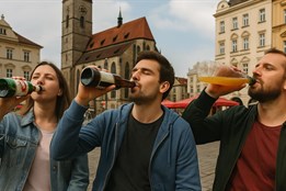 Plzeň zpřísňuje protialkoholní vyhlášku. Zákaz pití na veřejnosti...