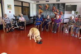 Když psi pomáhají. SeniorCentrum SeneCura Plzeň zpříjemňuje dny...