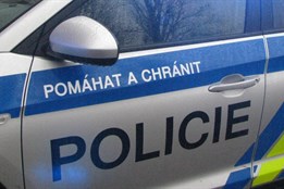 Dcera, jejíž matka umřela při domácím porodu v Plasích, bude u...