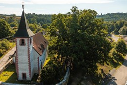 Už jste podpořili Skviřínský dub v anketě Strom roku 2025?