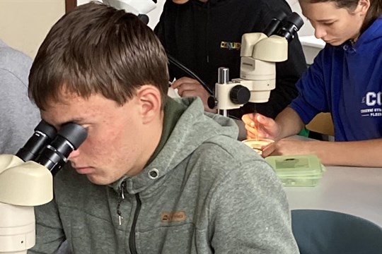 Jakub Krutina opět bodoval na světové scéně: z Mezinárodní biologické olympiády si přiváží bronz