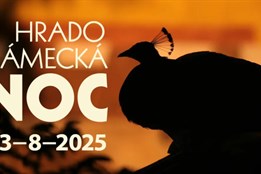 Hradozámecká noc v Plzeňském kraji oživí řadu památek už v sobotu