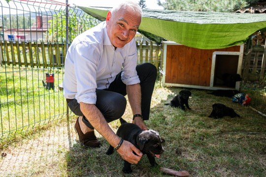 Kraj pokračuje ve spolupráci s Pomocnými tlapkami. Asistenční psy budeme dál podporovat, potvrdil hejtman Kamal Farhan