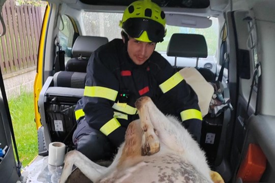 Kuriózní zásah hasičů na Plzeňsku. Zachraňovali rodící kozu, za odměnu dostali náramky