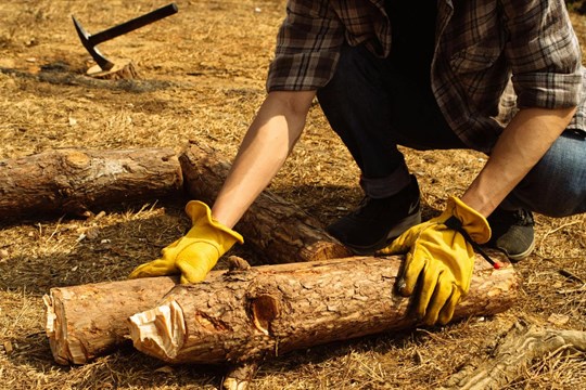 Olga Walló: Stará žena přemýšlí o mladých mužích, aneb Je práce radost?