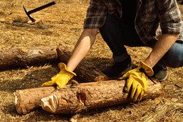 Olga Walló: Stará žena přemýšlí o mladých mužích, aneb Je práce...
