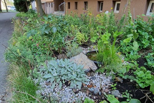 Prostřednictvím dotačních programů rozdělí první plzeňský obvod přes šest milionů