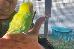 Opeřená posila tenisového klubu zpestřila hráčům neděli