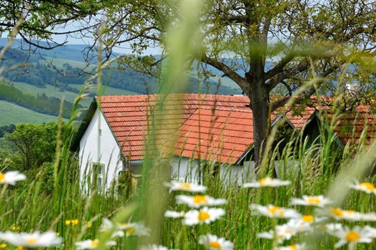 Po stopách Mornštajnové, Tučkové nebo Galušky. Literární místopis ČT zavede diváky i do našeho regionu