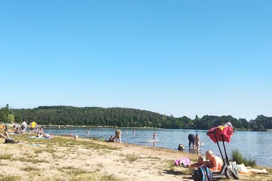 Plzeň odbahní Malý Bolevecký rybník, nebude nutné ho vypustit
