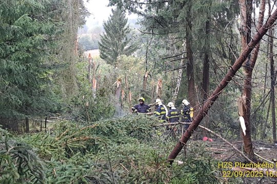U Balkové na Plzeňsku spadlo menší letadlo. Minimálně jeden člověk zemřel!