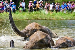 Zlínskou zoo od začátku roku navštívilo 700 000 lidí. Padne letos...