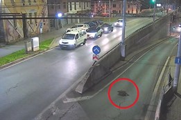 Neobvyklý turista musel svou prohlídku města předčasně ukončit