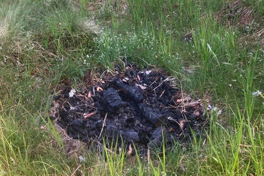 Ať Šumava shoří? Strážci NP Šumava letos likvidovali čtyřicítku nelegálních ohnišť!