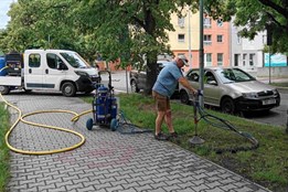 Půdní injektáž prodlouží lípám život, zabrat jim dala rekonstrukce...