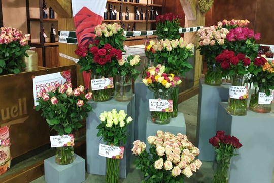 Odhalte tajemství, proč je cena valentýnských růží tak vysoká