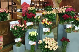 Odhalte tajemství, proč je cena valentýnských růží tak vysoká