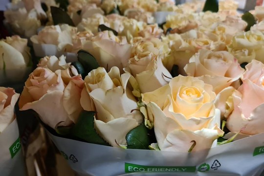 Jak popřát k MDŽ stylově a s grácií?