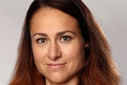 Zástupci ANO, PRO PLZEŇ a Pirátů odvolali radní ze STAN