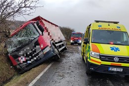Na Domažlicku havarovalo nákladní auto převážející dobytek, několik...