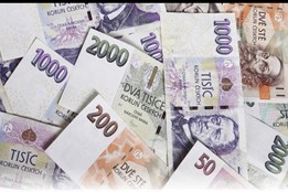 Úspěšný podnikatel z Plzně kritizuje návrh Pirátů kvůli zdanění...