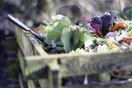 Rokycany se zaměřují na ekologii: žádost o dotaci na kompostéry a...