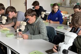 Studenti domažlického gymnázia přivezli zlatou a bronzovou medaili...