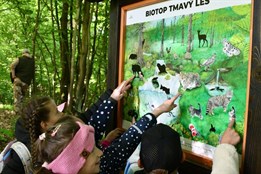 Rozšířená lesní stezka v Liticích přibližuje dětem život v lese