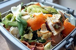 Klatovy mají nové nádoby na bioodpad, chtějí tím ulehčit skládkám