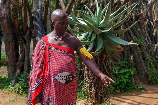 Linda Piknerová: eSwatini: 16 manželek, Rolls-Royce a HIV