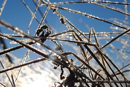 Meteorologové varují: Dorazí silné mrazy