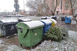 Kam s vánočními stromky? Odkládejte je k popelnicím na tříděný...