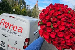 Rozvoz květin v Plzni – Kytice na Valentýna až ke dveřím