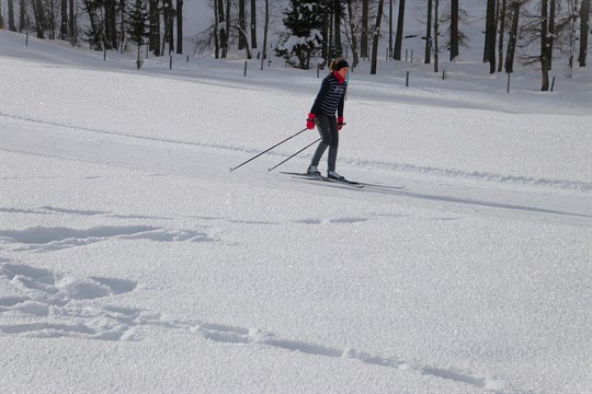 Déšť a obleva na Šumavě: Sjezdovky s půl metrem sněhu drží, běžky ale zůstávají v koutě